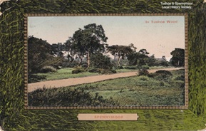 Tudhoe Woods. Card posted 1910.
